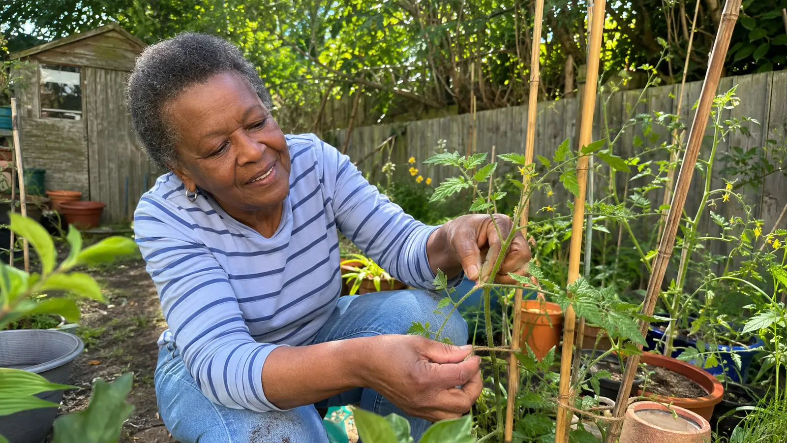 gardening after cataract surgery - Illustrative Image