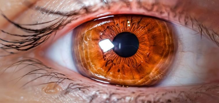 A close up photo of an eye